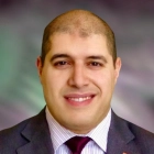 أ.م.د. محمود سعيد إبراهيم الخولي