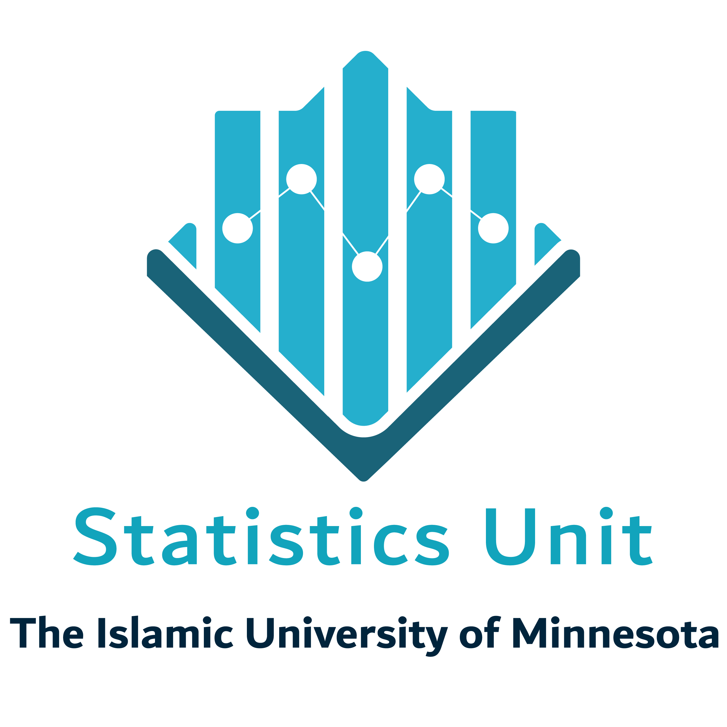 Statistics Unit