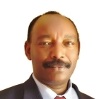 د. علي أحمد سليمان