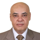 Dr. Mohamed Ibrahim Ibrahim Al-Dessouki