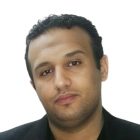 Mr. Omar Abdelkafy