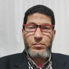 Mr. Halim Mitwalli Abdelrahman Moussa