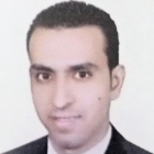 Mr. Mohammed Mahmoud Mohammed Breik